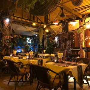 pexels-photo-1581384